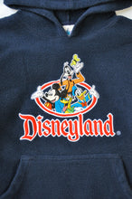 Load image into Gallery viewer, Disneyland Embroidered Characters Hoodie | Youth S