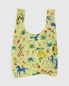 Standard Baggu | Painted Prairie